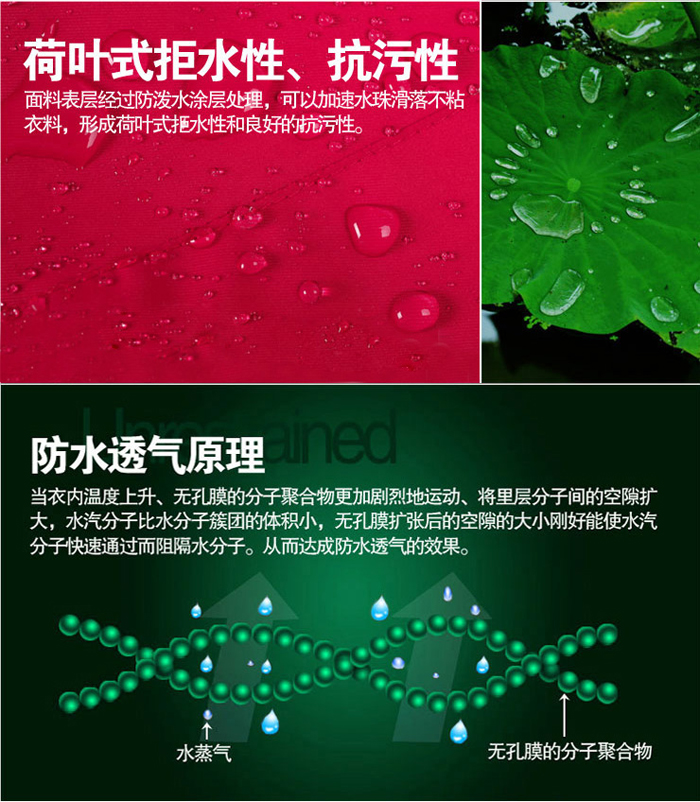荷葉性拒水性，坑污性圖片