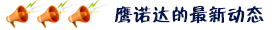 鷹諾達最新動態(tài)